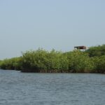 Que faire à Somone Sénégal